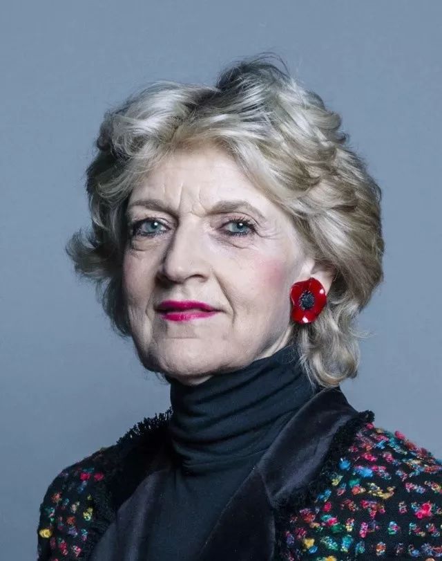 这个曾让戴安娜咬牙切齿的女律师再赢一次?_费欧娜