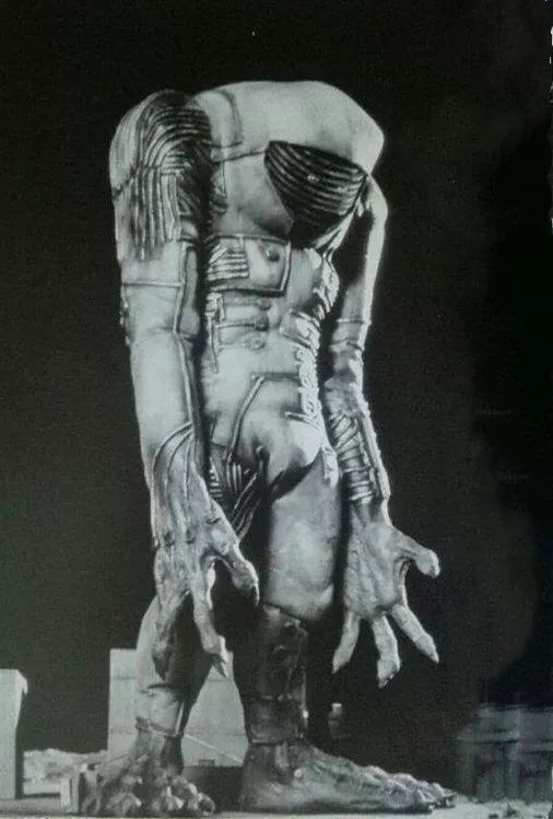 毕竟他被抛弃在先想要报复人类也可以说得通,贾米拉只是一个可怜的