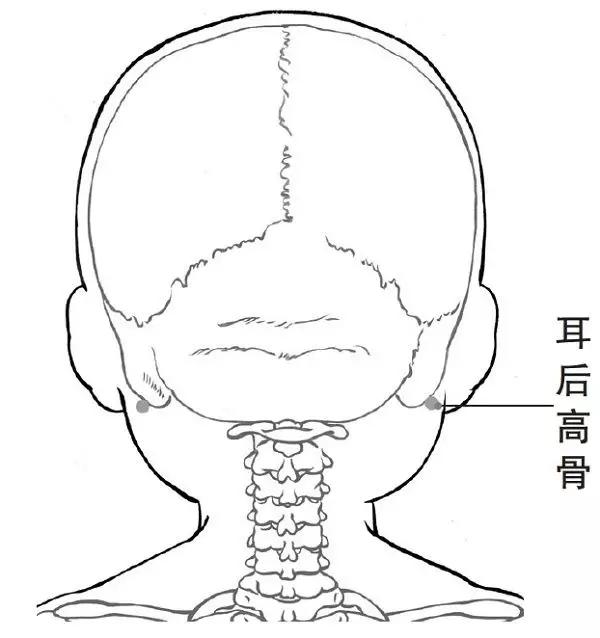 耳后高骨位置:耳后乳突下约1寸许凹陷中