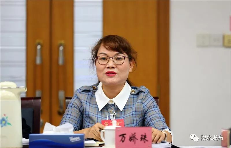 陵水代表团继续审议政府工作报告用脑用心用情汇聚奋进力量