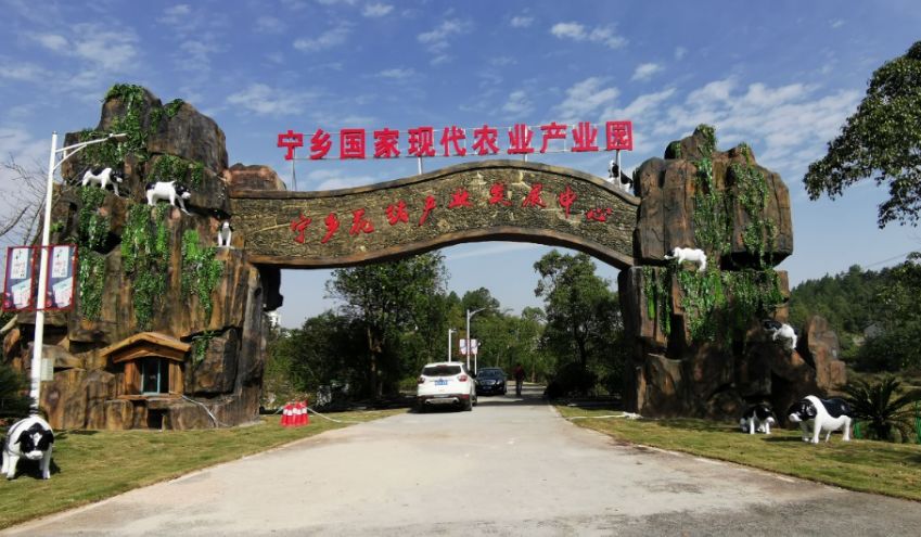 花猪之乡的"四个转向" ——记湖南省宁乡市现代农业产业园