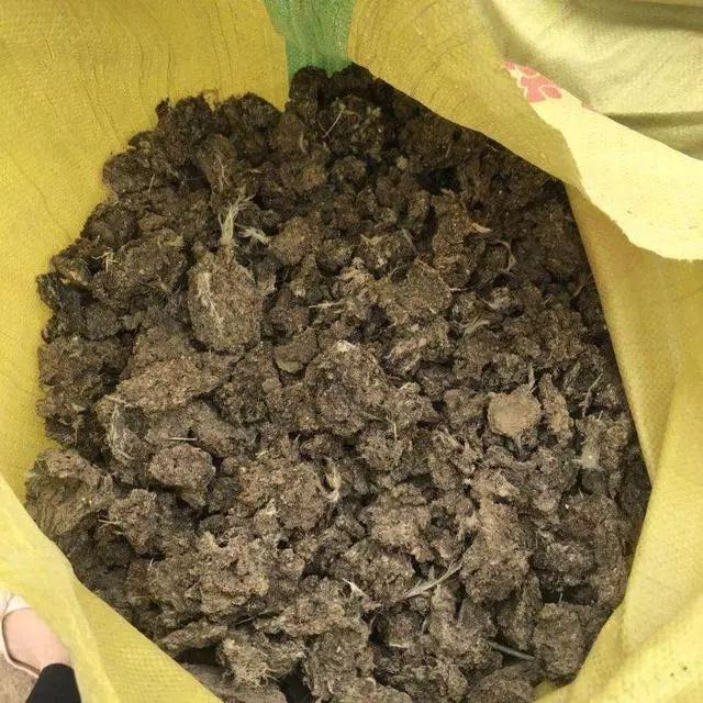 好的有机肥,一般动物粪肥中,鸡粪比蚯蚓粪,还有羊粪,牛粪还要营养充足