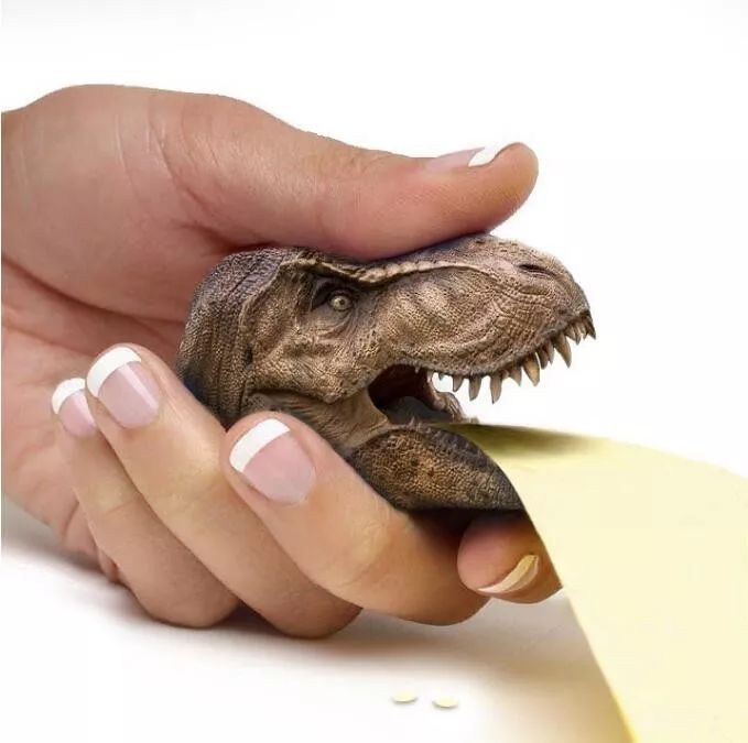 恐龙订书机黑熊仪仗帽富士山猫大鹅耳机把动物和日常用品的结合,还挺