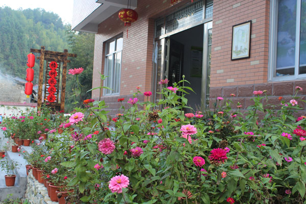 【星连文学社】广东诗人小隐:思归(外一首)