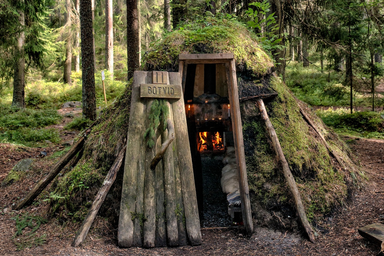 瑞典森林中的野外露营,探索森林,湖泊,看野兽和驼鹿.