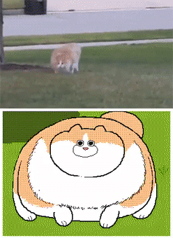 248_340竖版 竖屏gif 动态图 动图