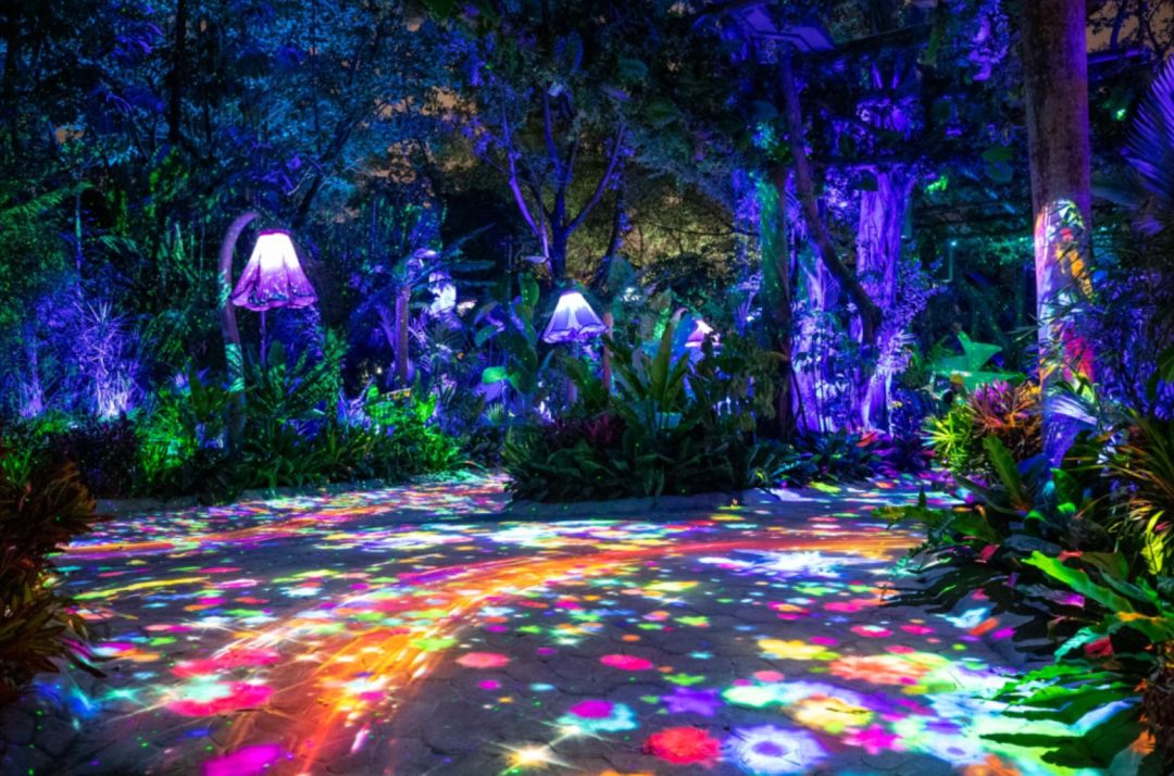 你的手机里少一张这样的全家福