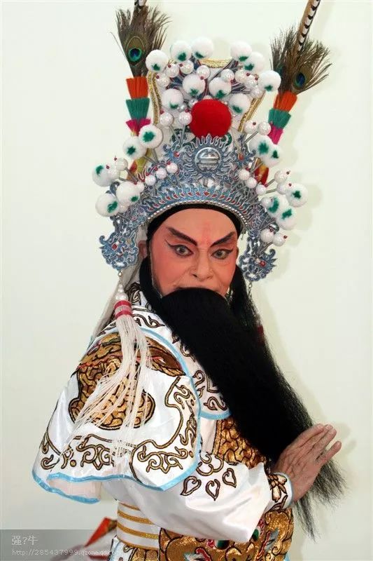 潮剧表演艺术家张长城今天上午去世享年88岁他演绎的角色仍深深留在