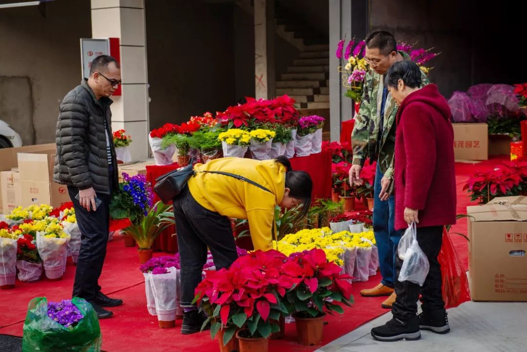 韶关迎春花市国潮美食街开街盛况丨10次路过9次爆满绝不踩雷国潮美食
