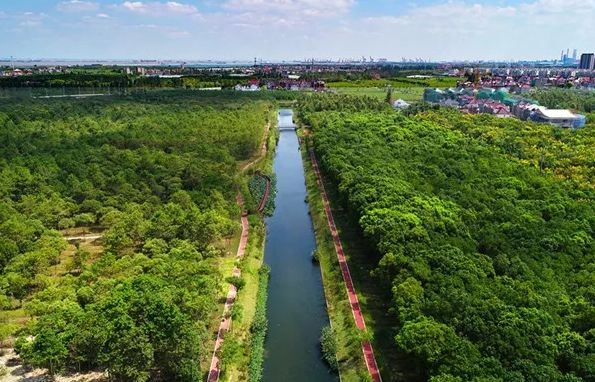 罗泾有2片市级开放式林地快来罗泾这里接触大自然