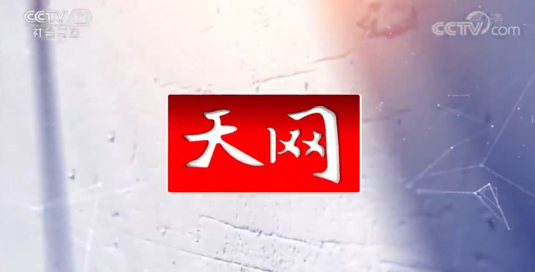 陷阱央视天网报道洛阳市公安局成功打掉一特大套路贷团伙