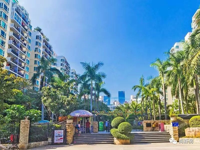南山三房730万椰风海岸87㎡