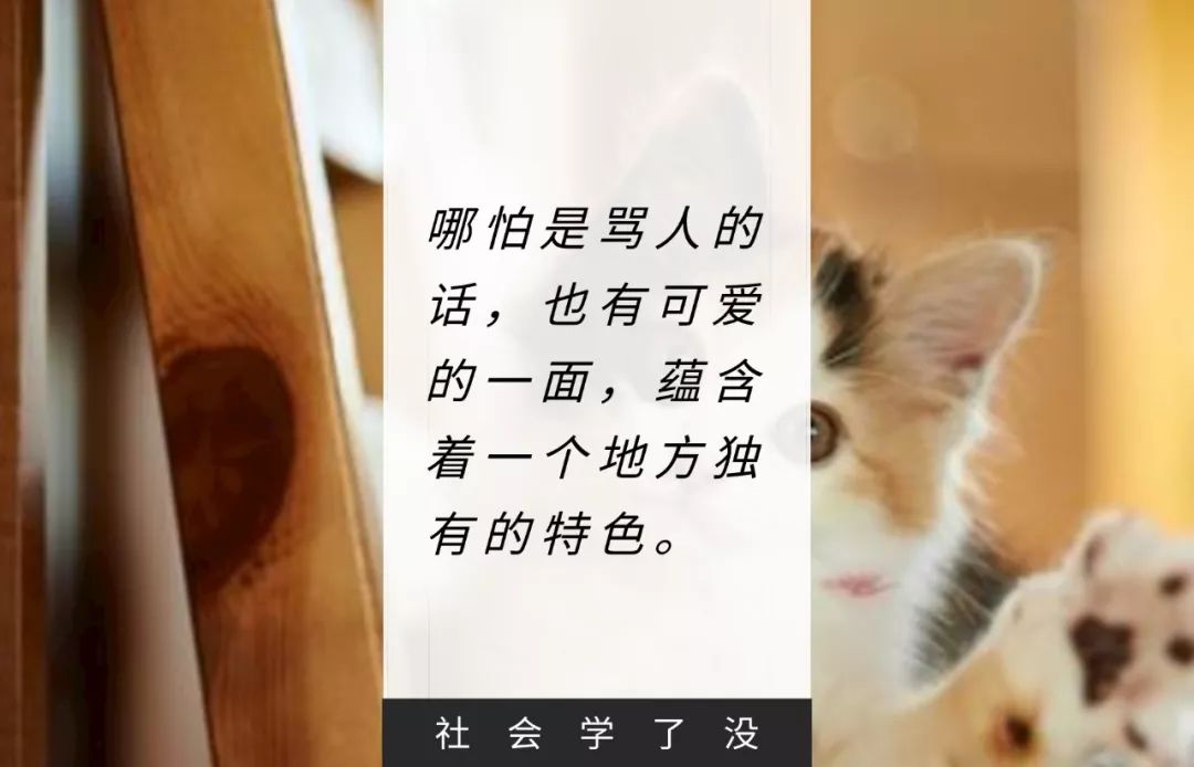 哪里的方言骂人最可爱_脏话