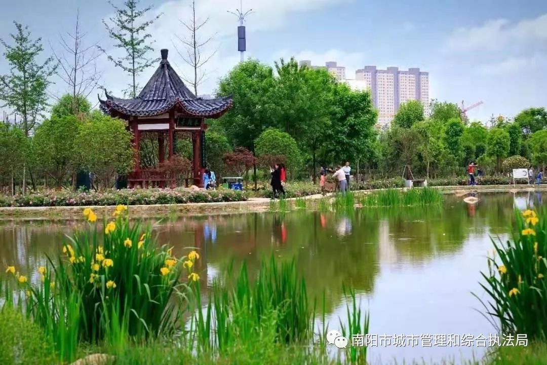 南阳市城市绿化条例实施细则颁布300米见绿500米见园