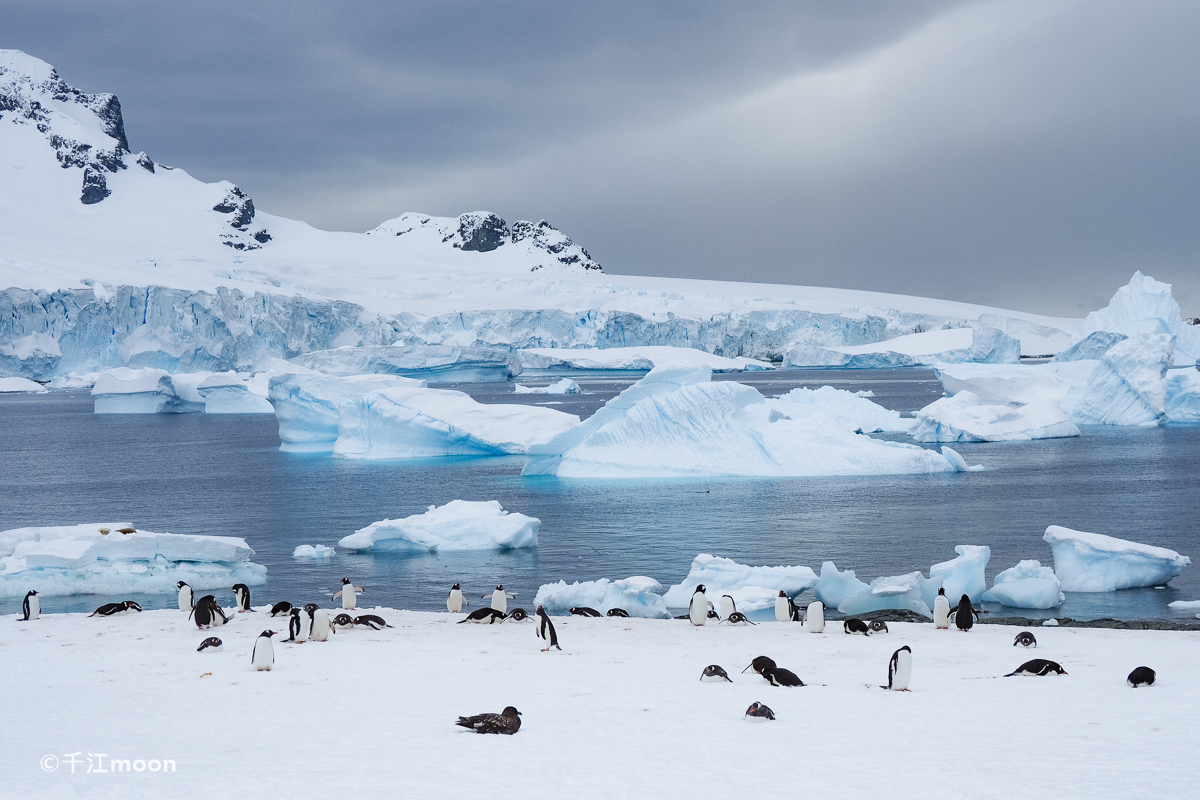 南极半岛最美登陆点
