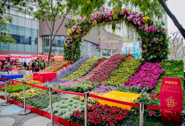 2020深圳迎春花市今日隆重开市 打造年味十足花市嘉年华_福田区