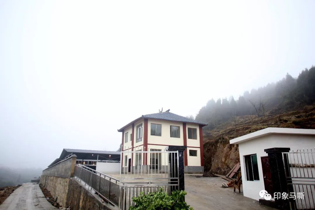 马嘶苗族乡乌蒙山下群贤归初心不忘话桑梓