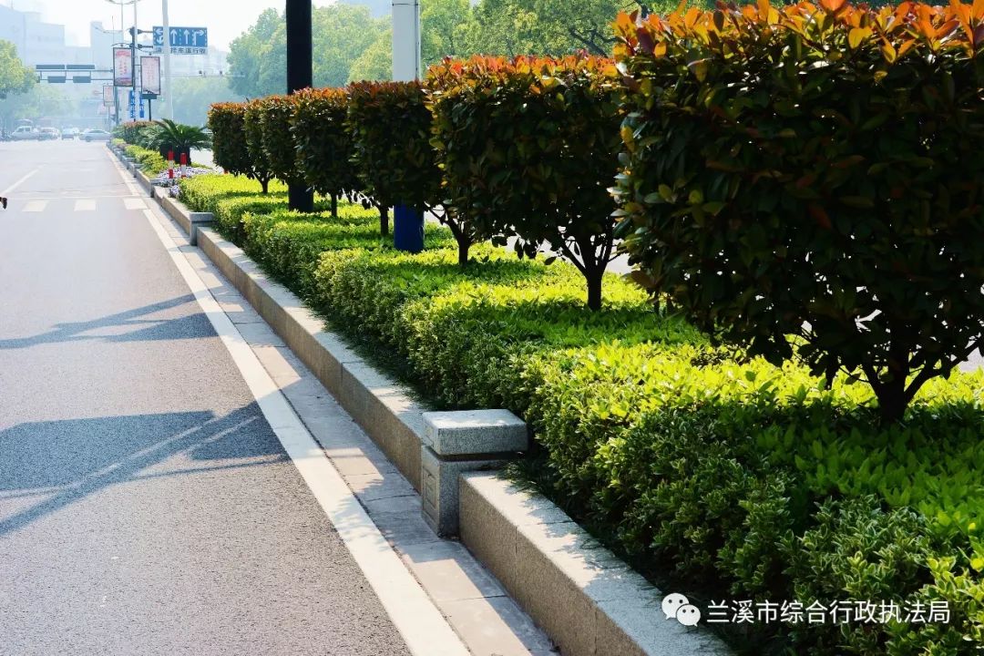 上园一品小区上园一品小区在建设中推行生态型园林绿化建设理念,景观