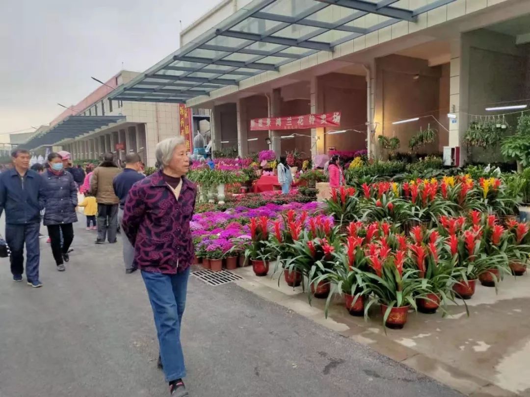 韶关迎春花市国潮美食街开街盛况丨10次路过9次爆满绝不踩雷国潮美食