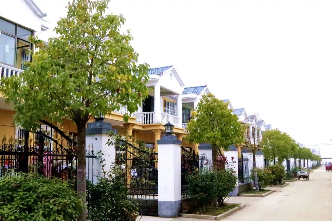 新春走基层向着幸福奔跑杨楼村中的冬日暖心事