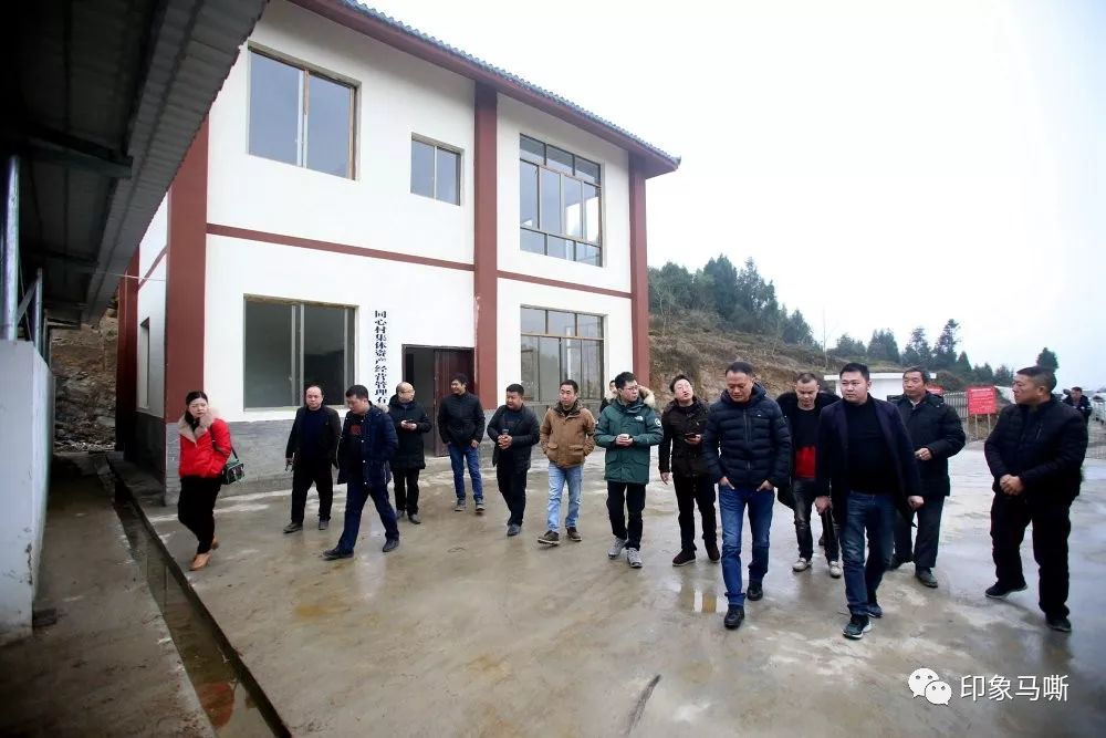 马嘶苗族乡乌蒙山下群贤归初心不忘话桑梓