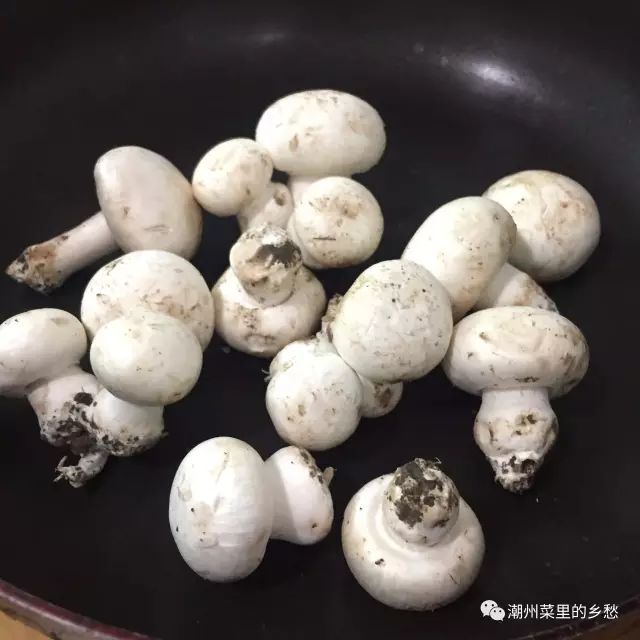 潮汕牛屎菇图片