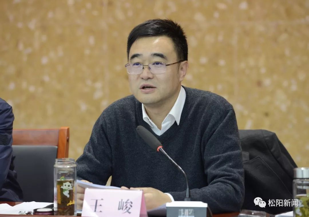 王峻,李汉勤,徐为民,毛建南,王立武等县领导参加.