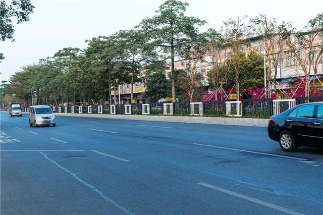 一路繁花相伴联河路广佛路颜值大变身