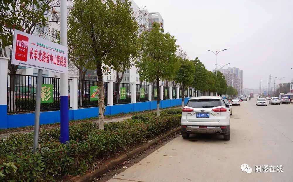 今天起阳逻街中心小学中山医院通公交了