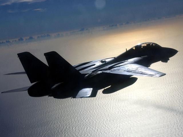 战机图飞翔的f14雄猫舰载机