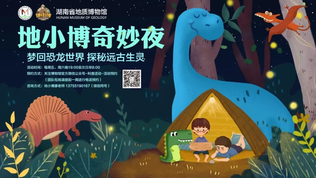 缪斯慕推介湖南省地质博物馆年度展览活动海报赏