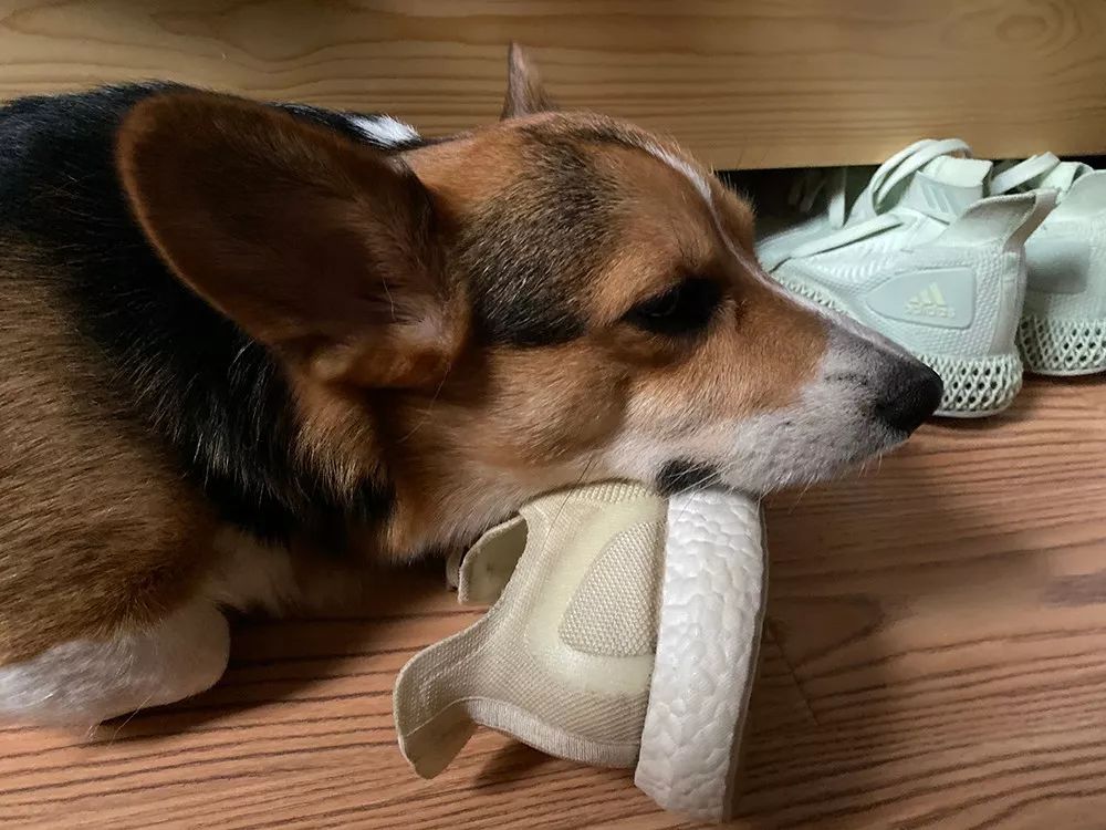 鞋评年终版2019年你的年度最佳sneaker是