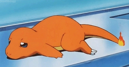500_260gif 动态图 动图