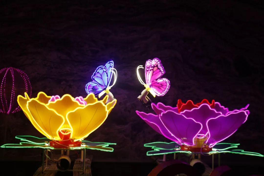 濮阳绿色庄园新年灯会正式开秀_灯光