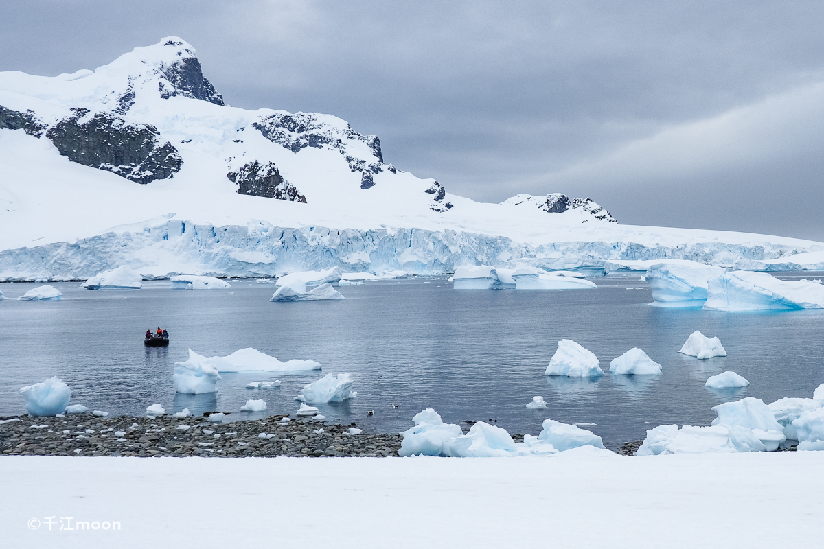 南极半岛最美登陆点_企鹅