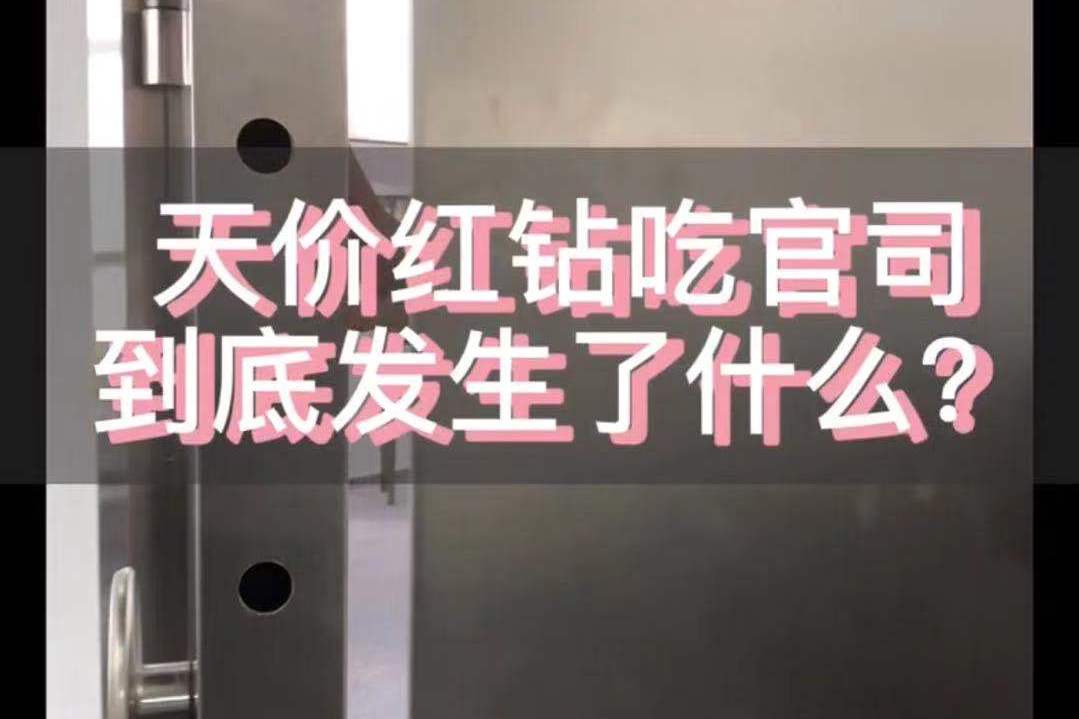 天价红钻吃官司到底发生了什么