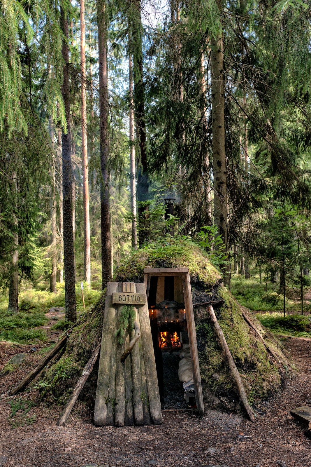 瑞典森林中的野外露营,探索森林,湖泊,看野兽和驼鹿.