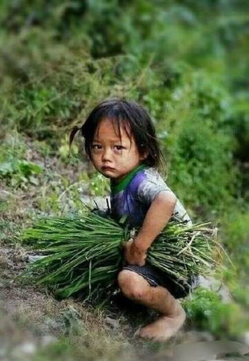 看得人心酸4岁小女孩早当家帮爷爷奶奶割草眼里充满了辛酸