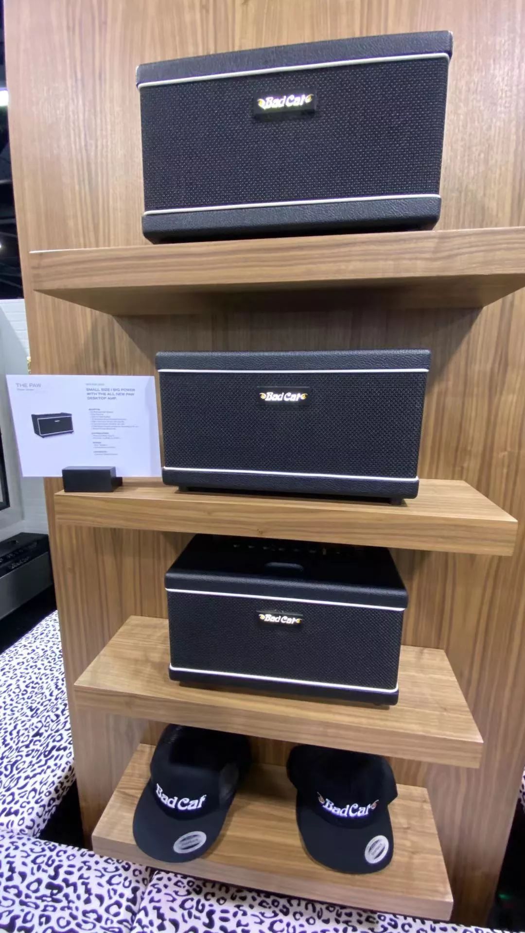 小身材大功率,全新的 the paw 便携音箱friedmanmagnatonekempertone