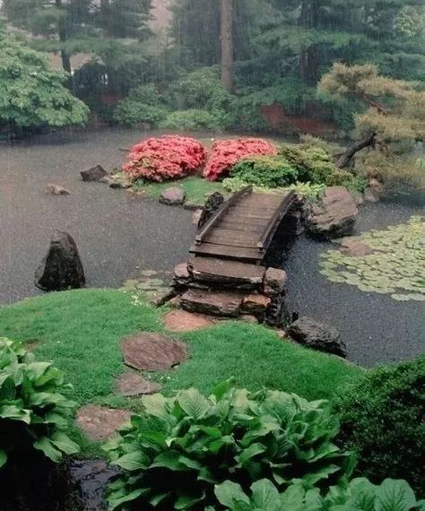 庭院灵动之美小桥流水人家