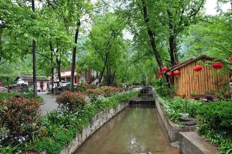 厉害了康县花桥村被这俩陇南年轻人唱成了歌