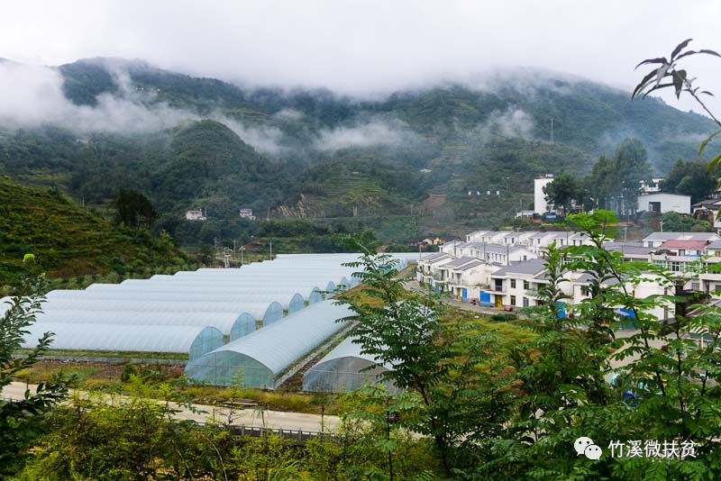 縣鎮核桃園村官山鎮五龍莊村鹽池河鎮鹽池灣村鄖陽區茶店鎮櫻桃溝村