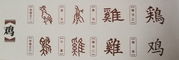 鸡怎么写 来自搜狐网