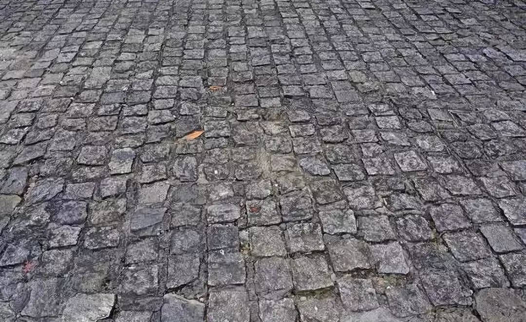 什么样的地面养牛最合适?水泥,红砖,三合土