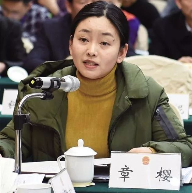 两会她风采紧扣发展回应民生她们是认真的