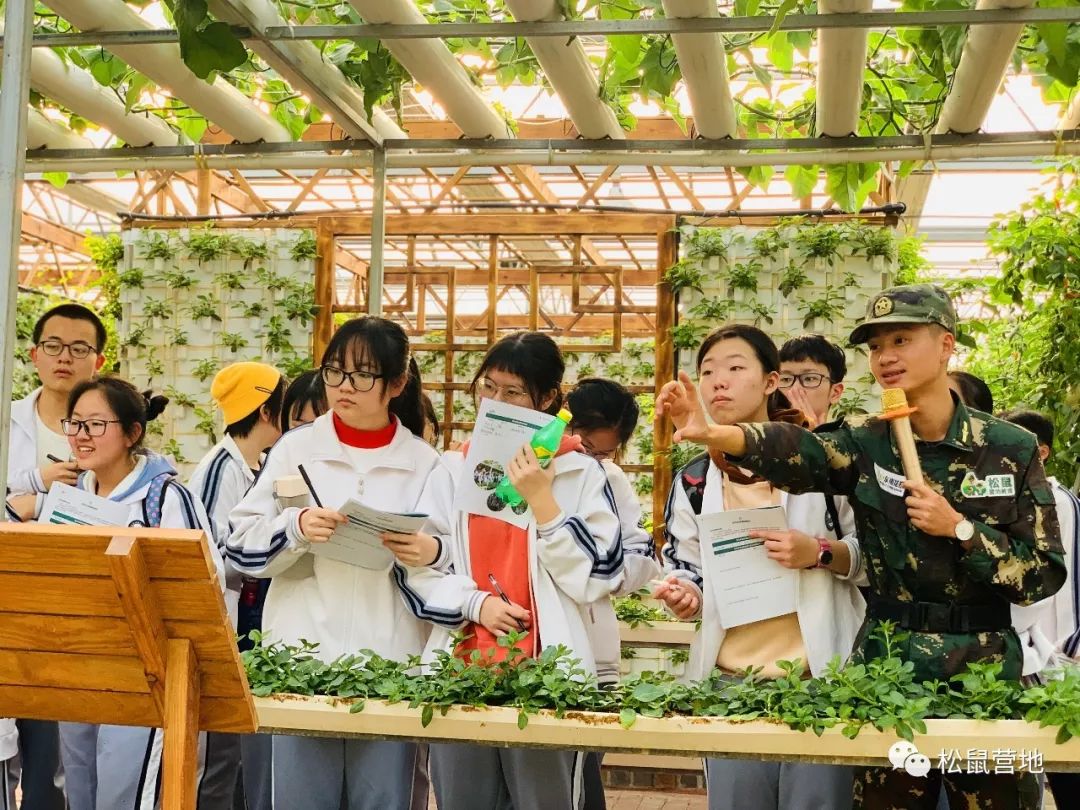 研学问道耕耘青春漳州一中2020年高二年东南花都研学实践活动