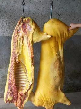 黄膘猪肉黄镖图片