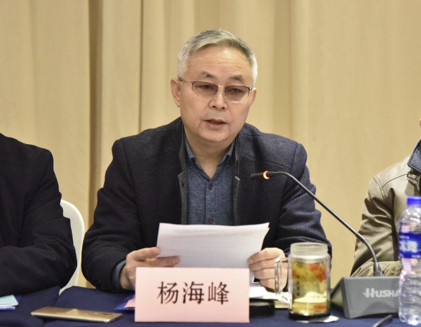 张丹力在会上作了协会2019年工作报告,回顾了2019年省内钢铁生产运营