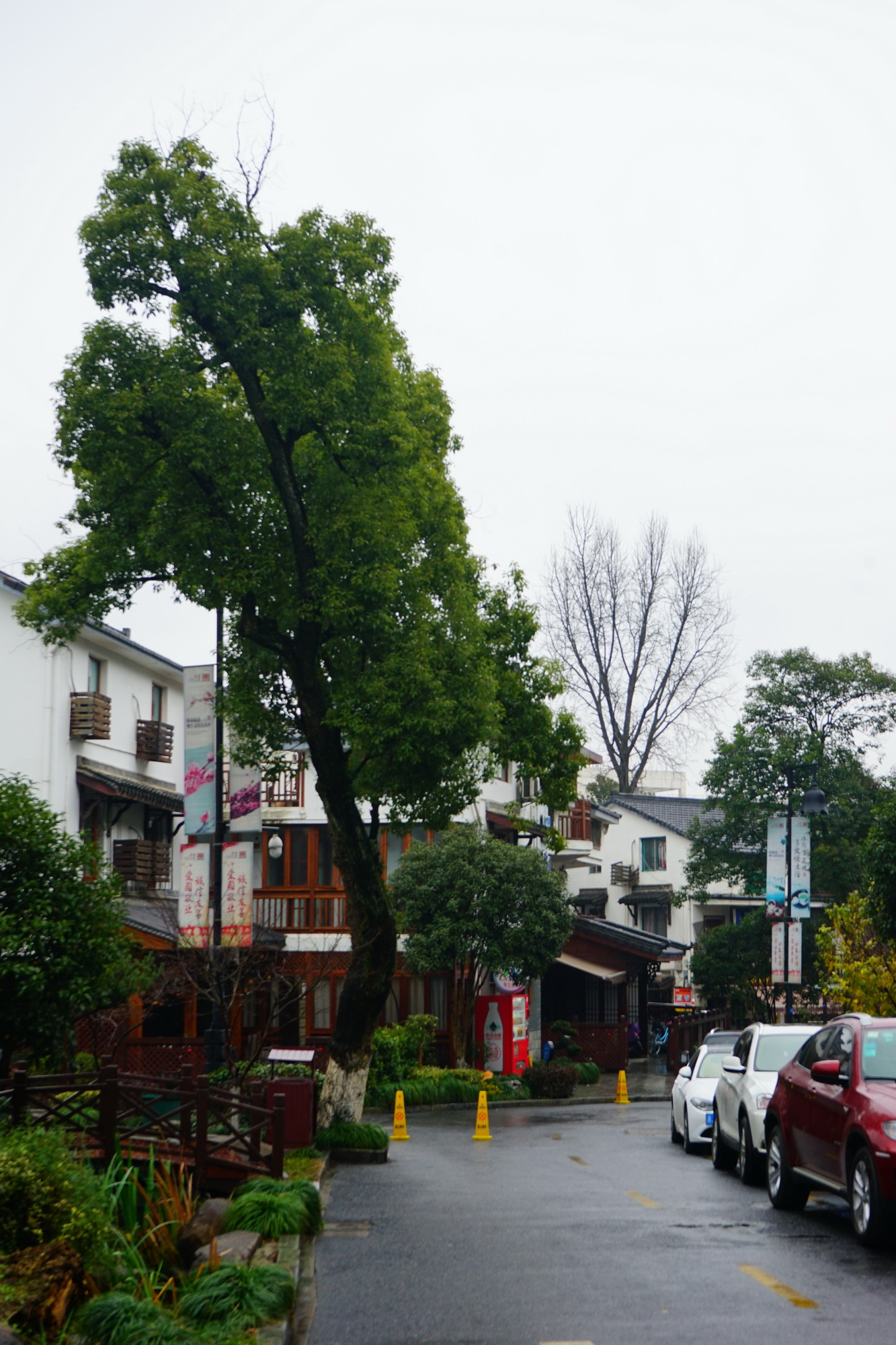 青芝坞:西湖景区里的千年古村,杭州人的休闲地
