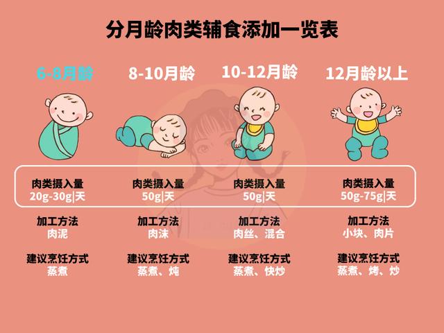 宝宝开荤有讲究过早过晚都不好肉类辅食添加讲科学